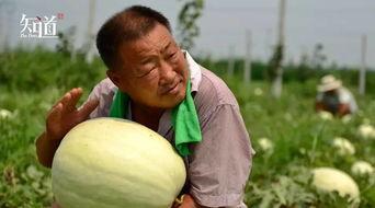 吃瓜复制,吃瓜群众眼中的明星生活