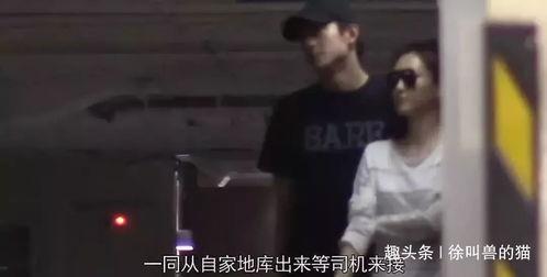 吃瓜迷茫,揭秘网络舆论背后的真相与反思