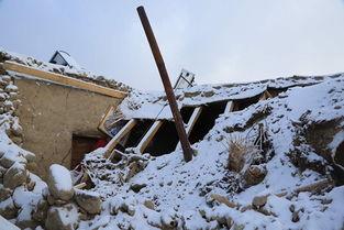 吃丰城的瓜,品味夏日甜蜜时光