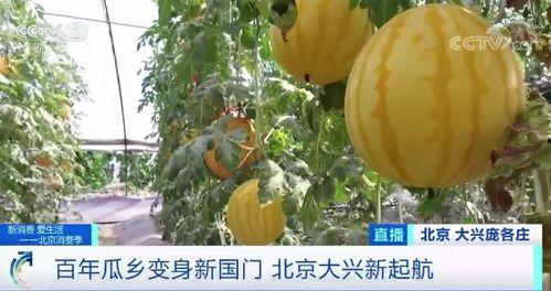 候场吃瓜,揭秘明星们的“吃瓜”生活