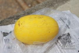 吃瓜黄皮群,网络社交新现象背后的故事