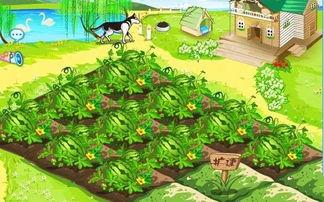 欢乐吃瓜小说,欢乐吃瓜小说里的趣味人生