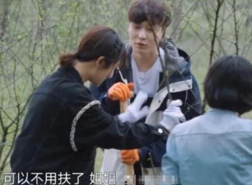 孙红雷吃瓜杨紫,娱乐圈友情再升级