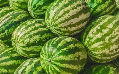 福州最新吃瓜,揭秘网络热议背后的真相