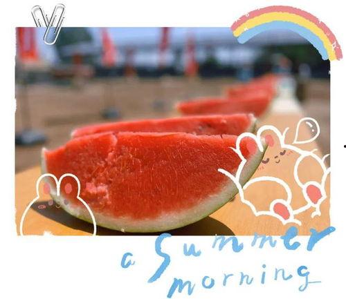 海边吃瓜现场视频,欢乐时光尽收眼底