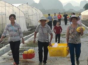 兴业吃瓜,揭秘娱乐圈背后的那些事儿