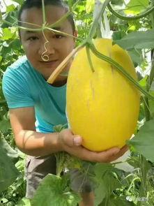 兴业吃瓜,揭秘娱乐圈背后的那些事儿