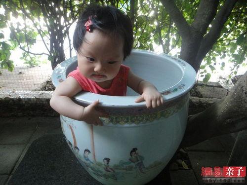 吃瓜搞怪社,揭秘娱乐圈幕后趣闻，带你笑翻全场！