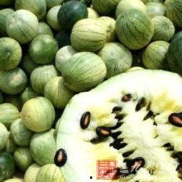 雪饼猴抓瓜子吃瓜,趣味横生吃瓜记