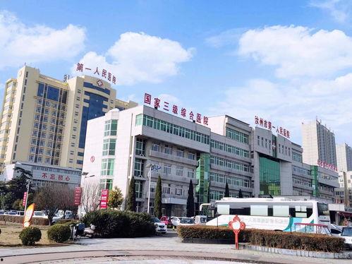 汝州县医院吃瓜,揭秘背后的真相与反思