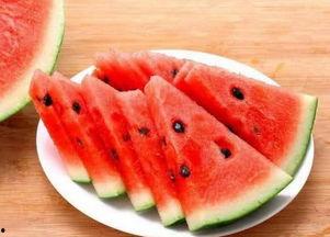 带你吃瓜小鱼海棠,带你吃瓜小鱼海棠的味蕾冒险