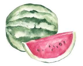 吃瓜之变,揭秘网络舆论的演变与影响