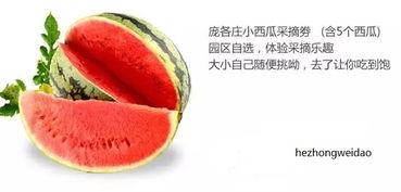 吃瓜中心密码,揭秘网络热议背后的真相与趣味