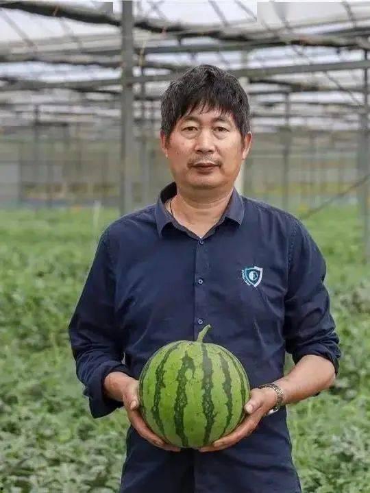 无锡吃瓜老师,揭秘校园里的趣味故事与教育智慧