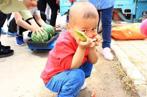 山东亲姐弟吃瓜,揭秘家庭美食背后的故事