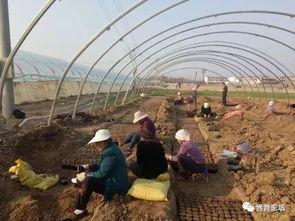 界首吃瓜相片,夏日炎炎，瓜香四溢