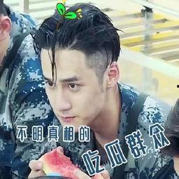 疯传吃瓜,揭秘网络热点的传播密码