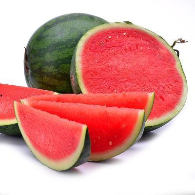 吃瓜吃到无籽西瓜