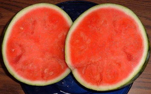 吃瓜吃到无籽西瓜