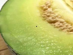 淡定吃瓜族,洞察娱乐圈风云变幻