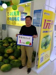 淡定吃瓜族,洞察娱乐圈风云变幻