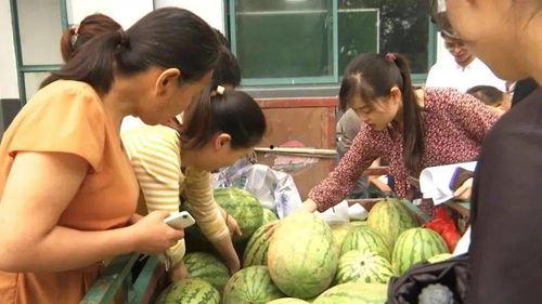 巨野吃瓜事情视频,一场网络热议的真相揭秘