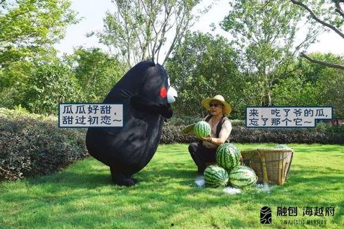 巨野吃瓜事情视频,一场网络热议的真相揭秘