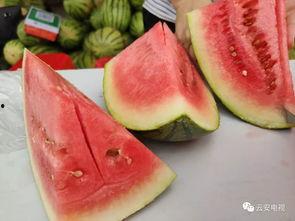 鹿邑全民吃瓜配送