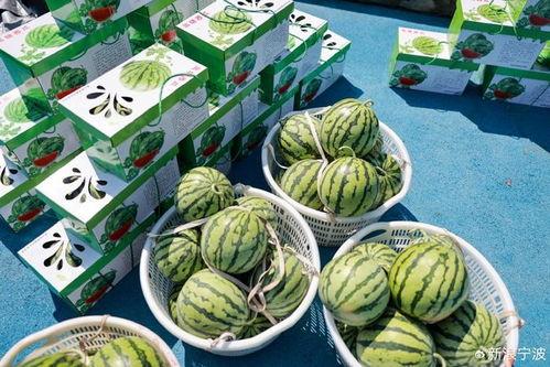 美国吃瓜之旅之六,探寻异国风味与本土文化的碰撞