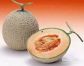 老是吃哈密瓜,甜蜜生活新篇章