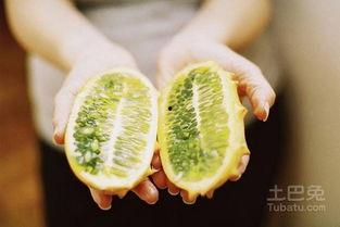 刺茭瓜怎么吃,探索美味与营养的完美结合