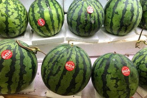 仙儿吃瓜,揭秘娱乐圈那些不为人知的幕后故事