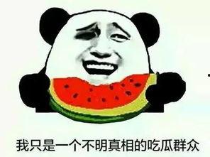 吃瓜群众怎么评论,揭秘网络评论背后的社会现象