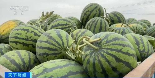 深圳华人街吃瓜,吃瓜群众的美食盛宴