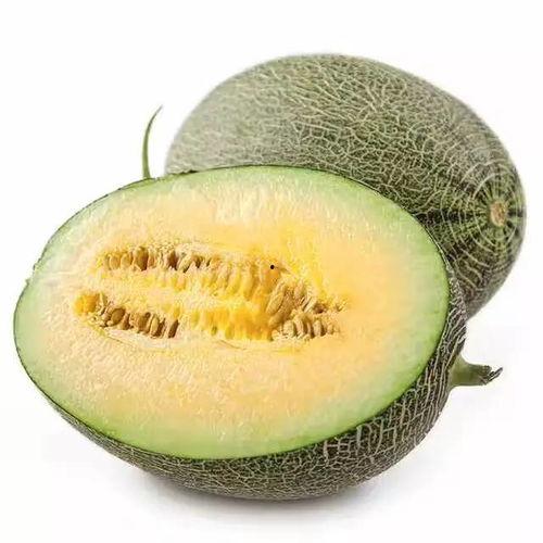 甜包瓜怎么吃,甜包瓜的多重美味吃法探索