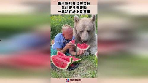 吃瓜的小熊熊,揭秘娱乐圈那些事儿