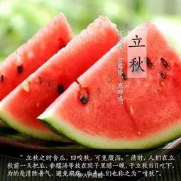 咬秋吃瓜文案,尽享清凉时光
