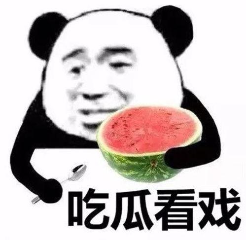 吃瓜熊猫血