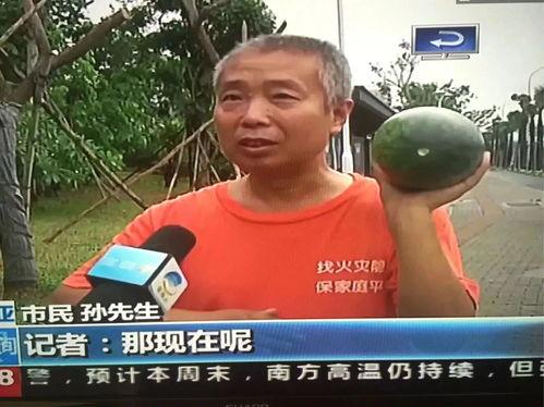 热点吃瓜事件温州